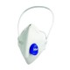 Lot de 10 masques respiratoires