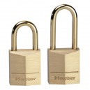 Cadenas Master Lock 115EURD et 3115EURD