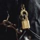 Cadenas Master Lock 115EURD sur sac