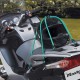 Tendeur pieuvre Master Lock 3105EURDAT sur casque de moto