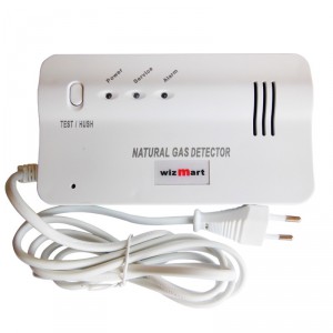 Détecteur de gaz naturel Wizmart