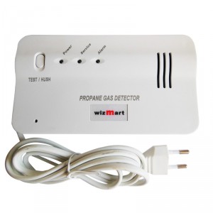 Détecteur de gaz naturel Wizmart