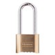 Cadenas Master Lock 175EURDLH