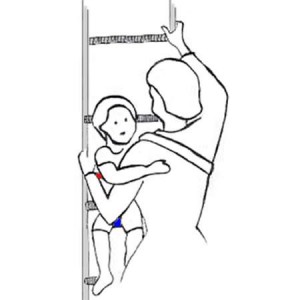 Porte enfant pour évacuation d'urgence